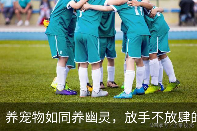 养宠物如同养幽灵，放手不放肆的微妙平衡